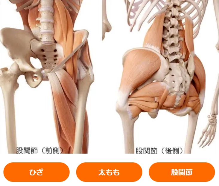 あしふみイメージ