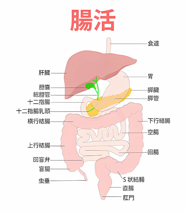 サーモグラフィ