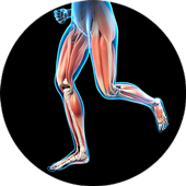 足腰の筋肉と股関節を『ほぐす』