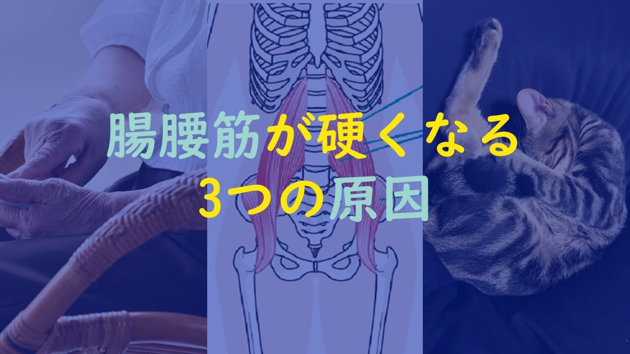 3.腸腰筋が硬くなる3つの原因