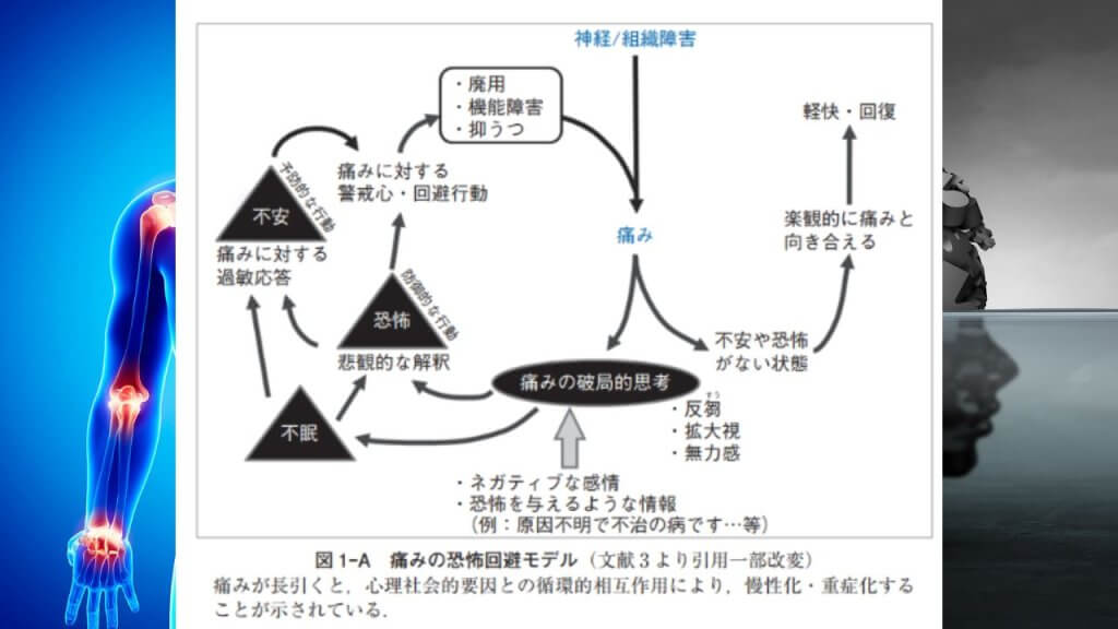 （引用元：慢性疼痛治療ガイドライン）