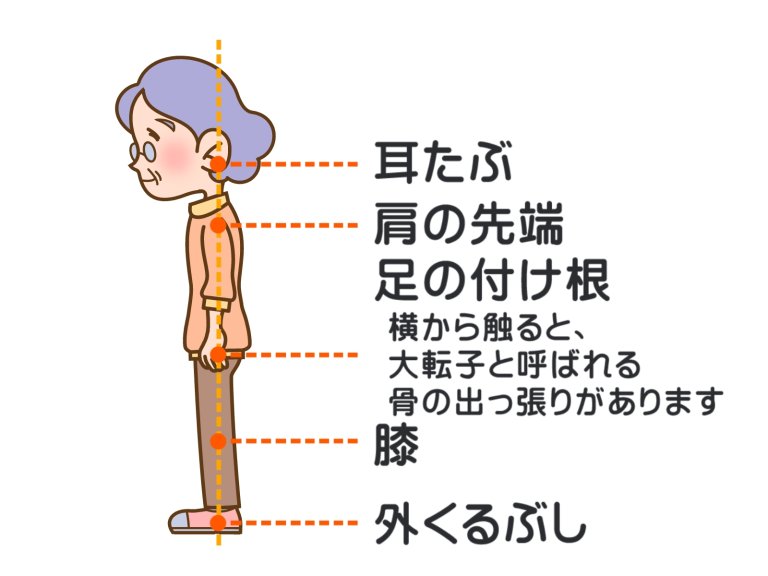 高齢者の姿勢改善(円背・猫背)、簡単で続けられる対策方法